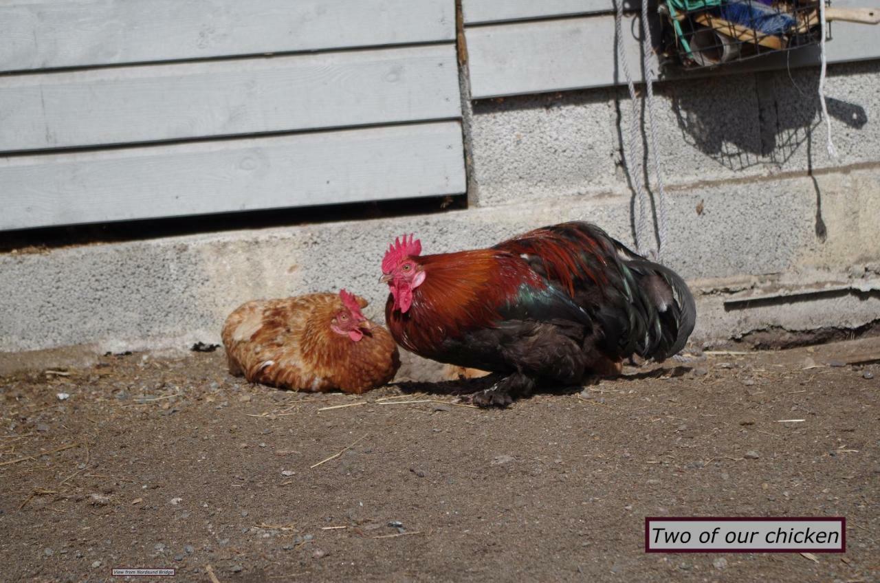 Stall Hav-Vik Farmstay Farsund Dış mekan fotoğraf