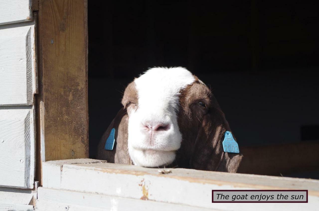 Stall Hav-Vik Farmstay Farsund Dış mekan fotoğraf